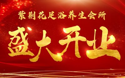 紫荆花开业路演